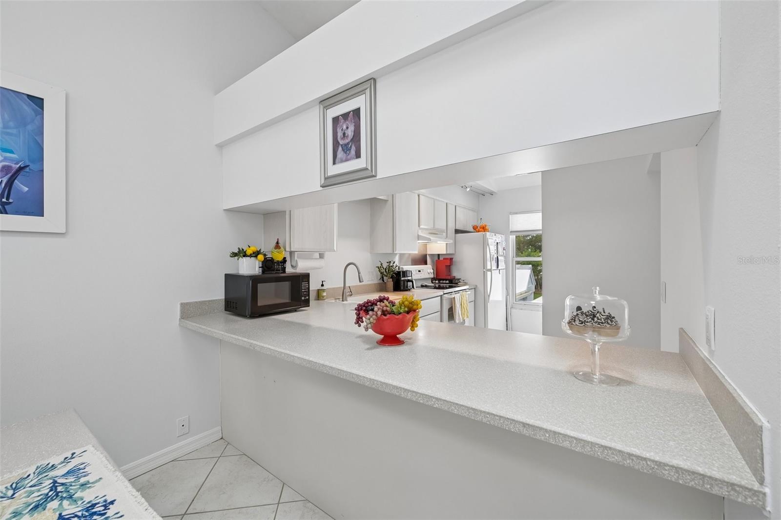 1041 Capri Isles Blvd #209 Property Photo 15