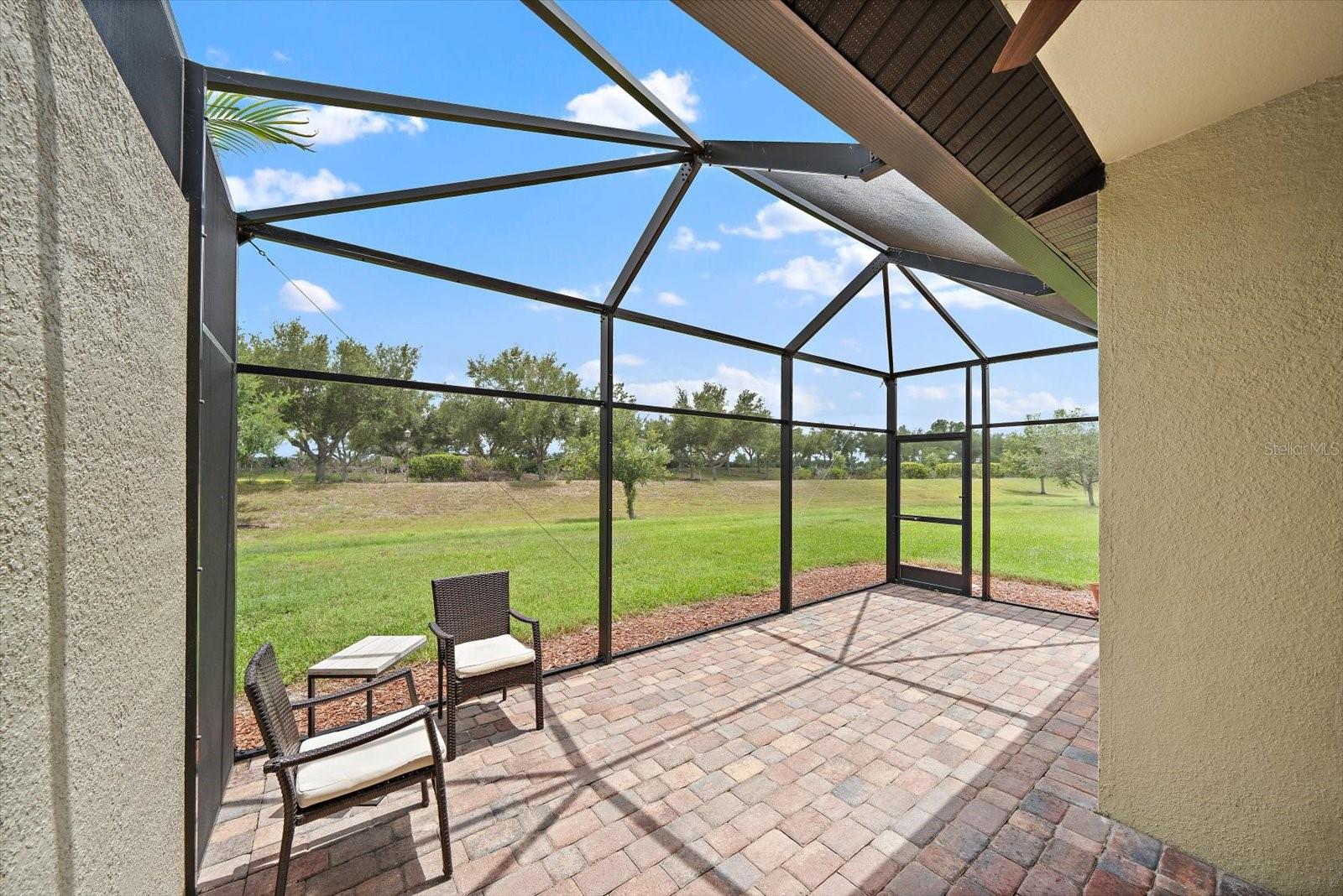 19962 Benissimo Dr Property Photo 24