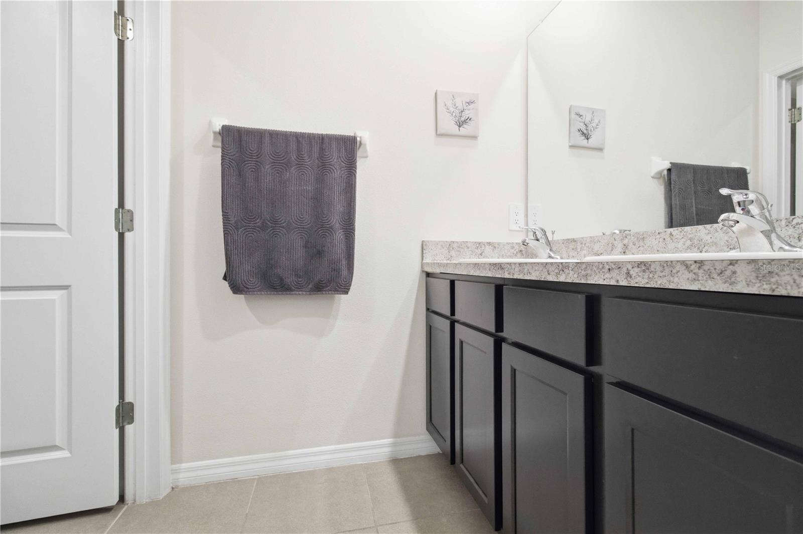 17119 Harvest Moon Way Property Photo 29