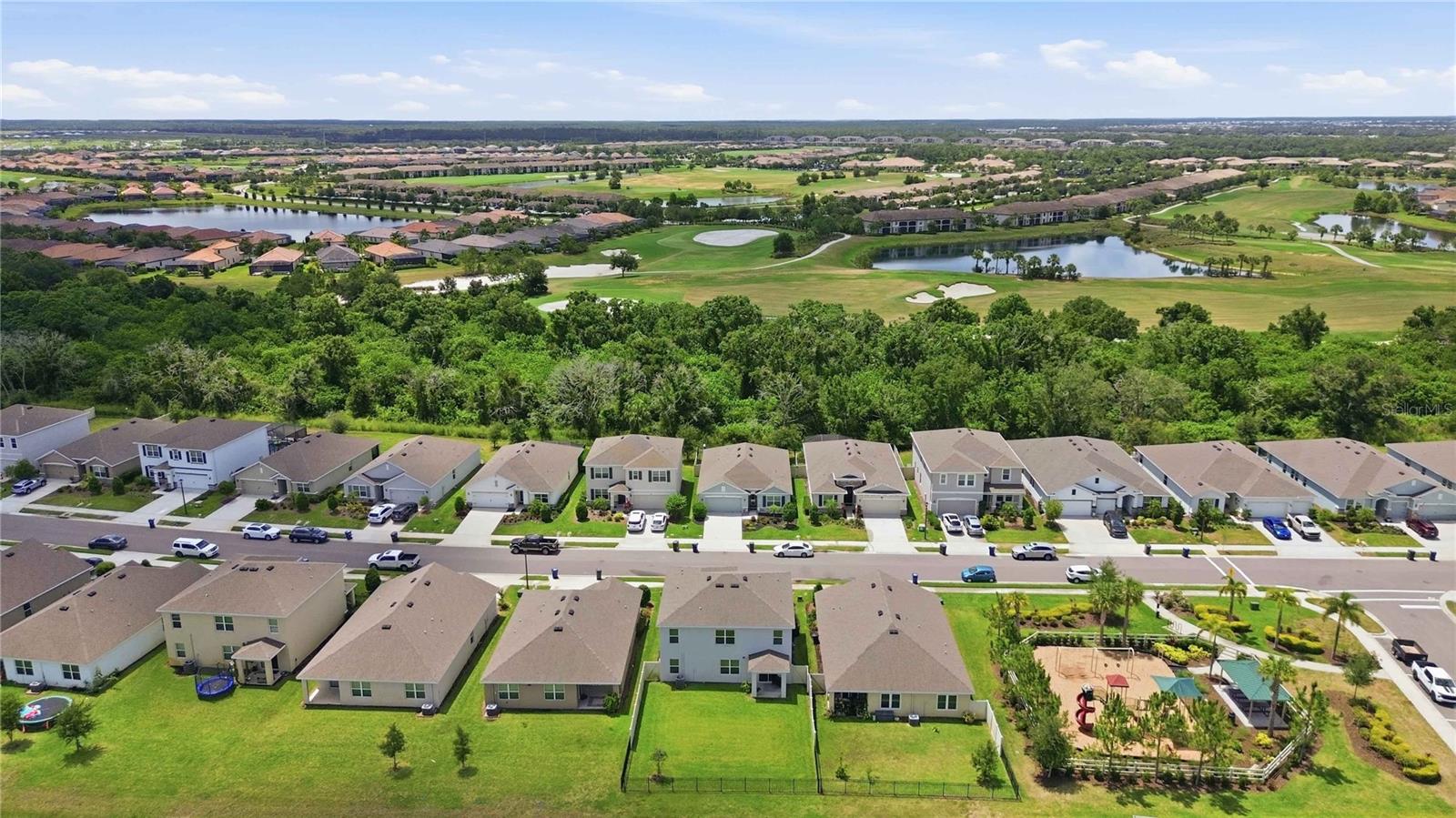 17119 Harvest Moon Way Property Photo 66