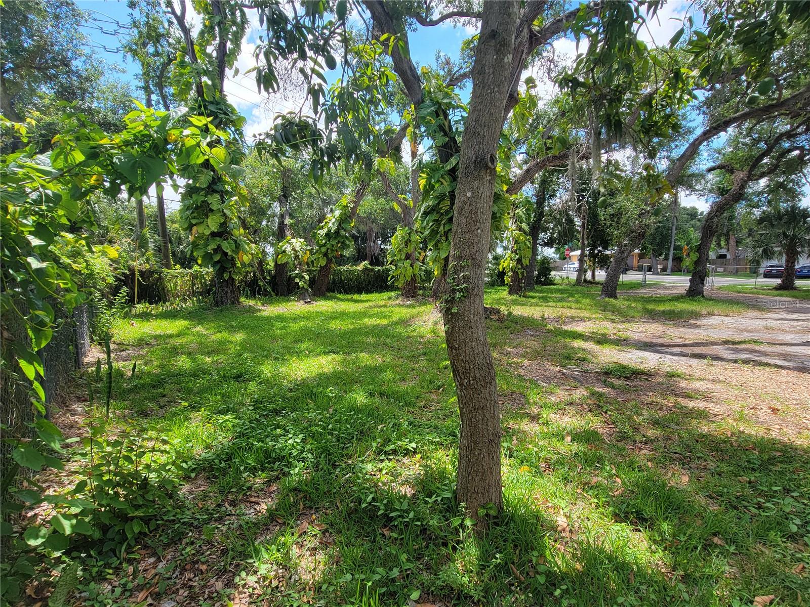 1375 Myrtle St Property Photo 10