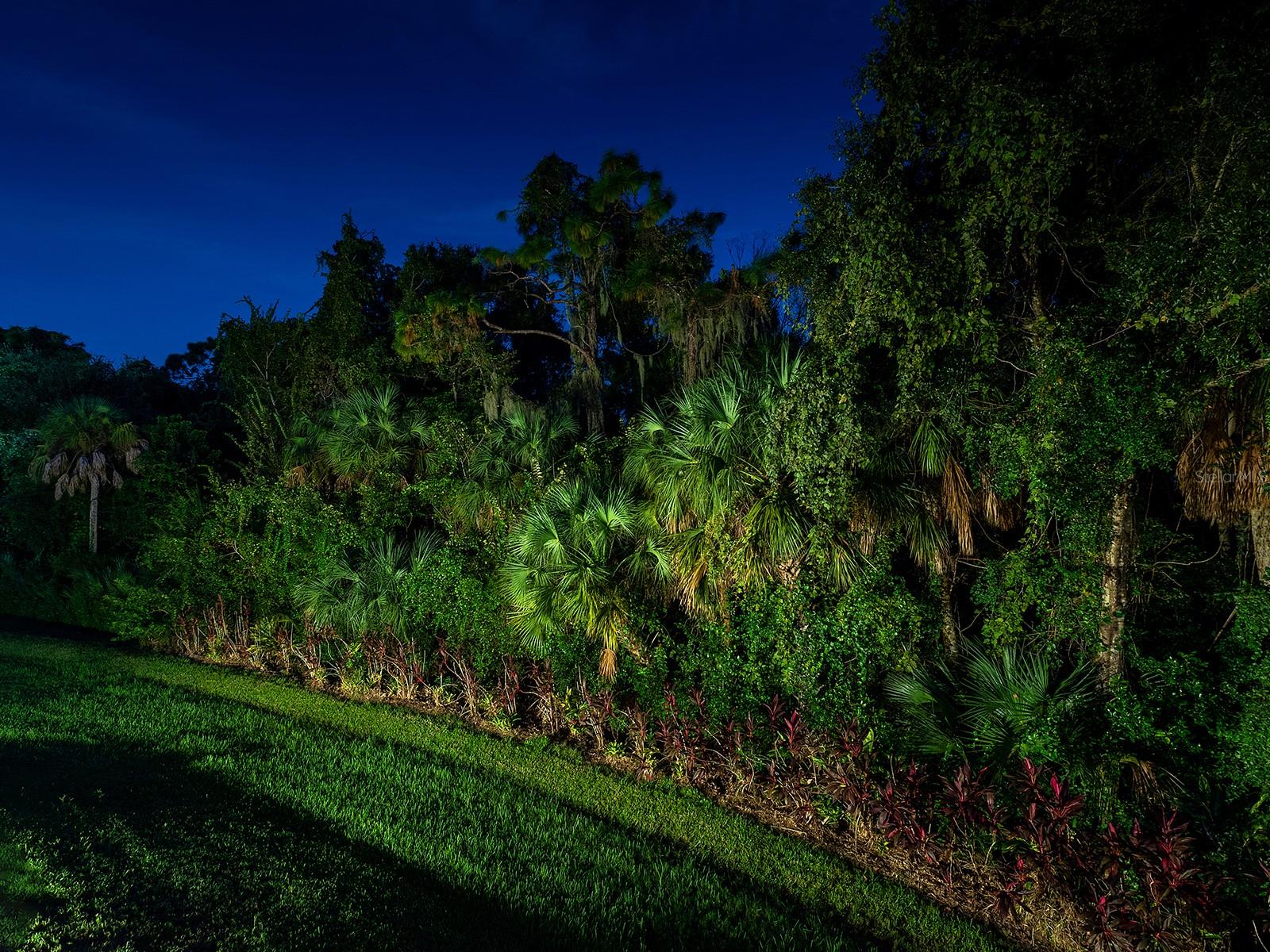 6410 Butlers Crest Dr Property Photo 42