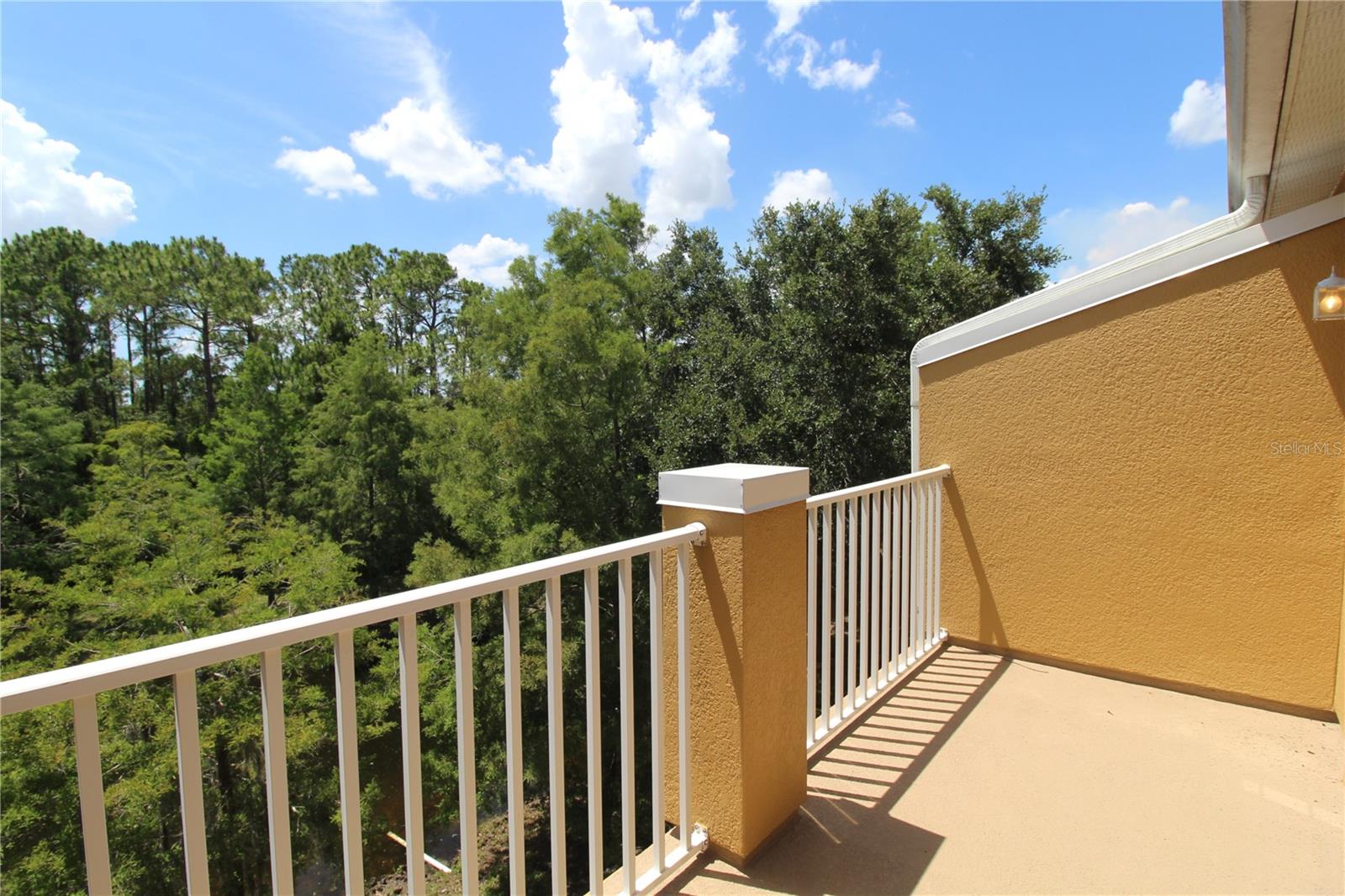 8828 White Sage Loop Property Photo 14
