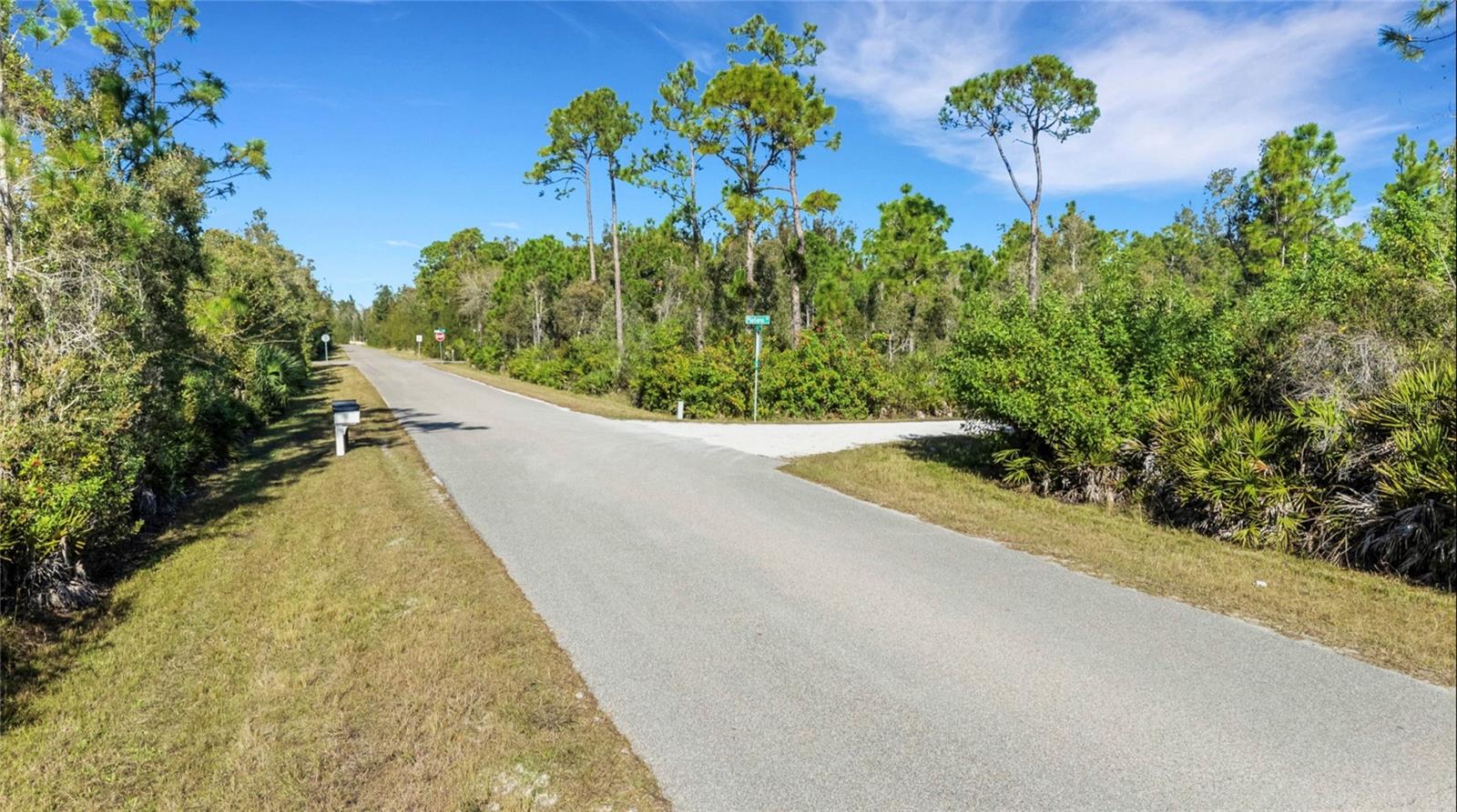 12147 Platano Dr Property Photo 8