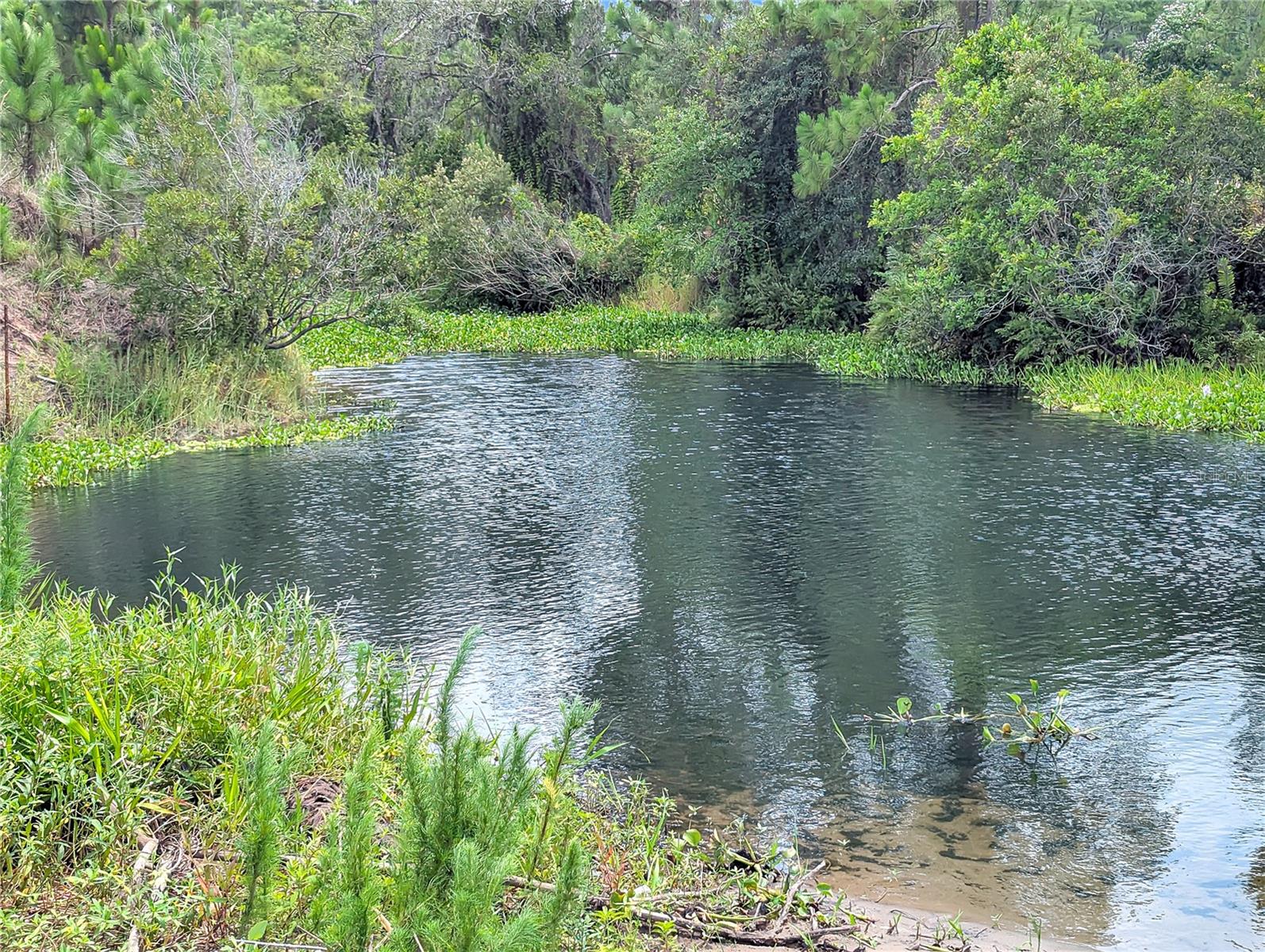 Holopaw Groves Rd Property Photo 30