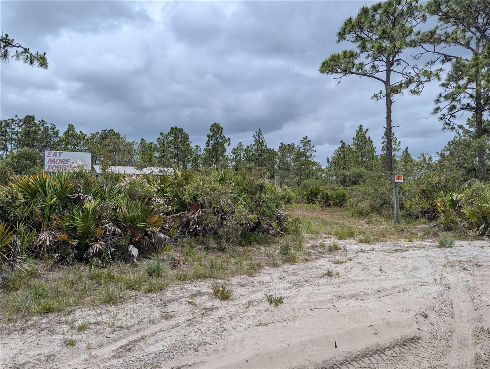 Holopaw Groves Rd Property Photo 31