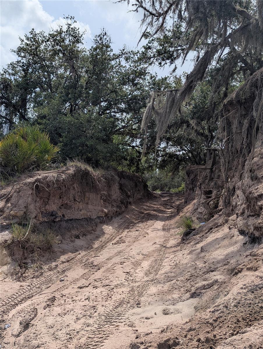 Holopaw Groves Rd Property Photo 35