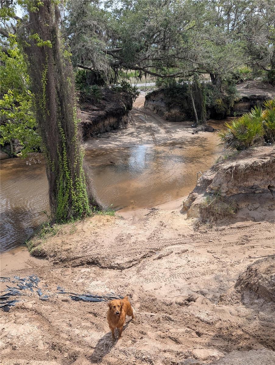 Holopaw Groves Rd Property Photo 37