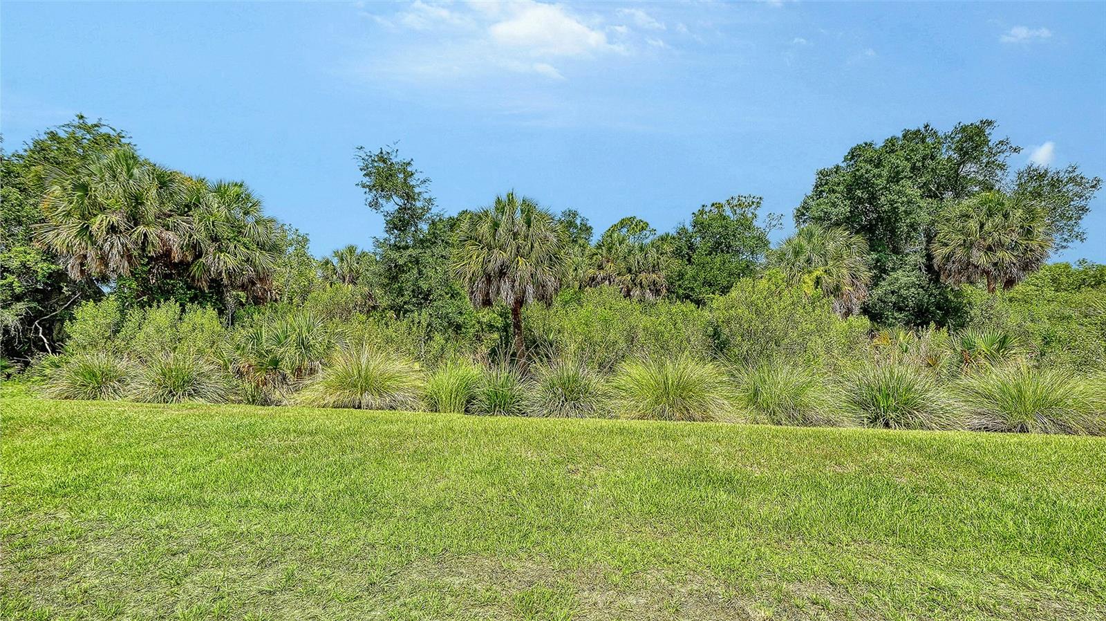 9940 Crystal Isles Cir Property Photo 47