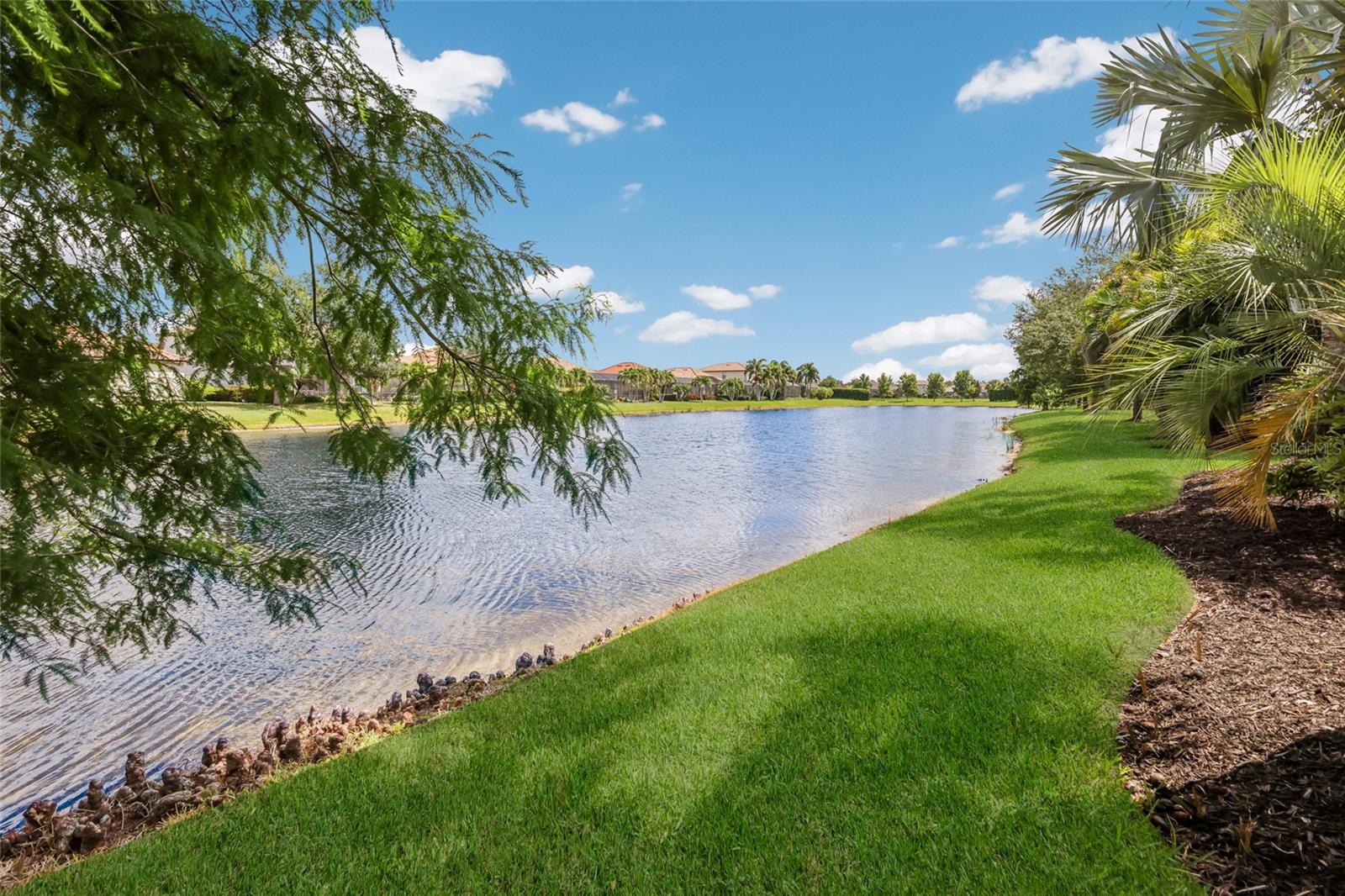 13017 Ramblewood Trl Property Photo 49