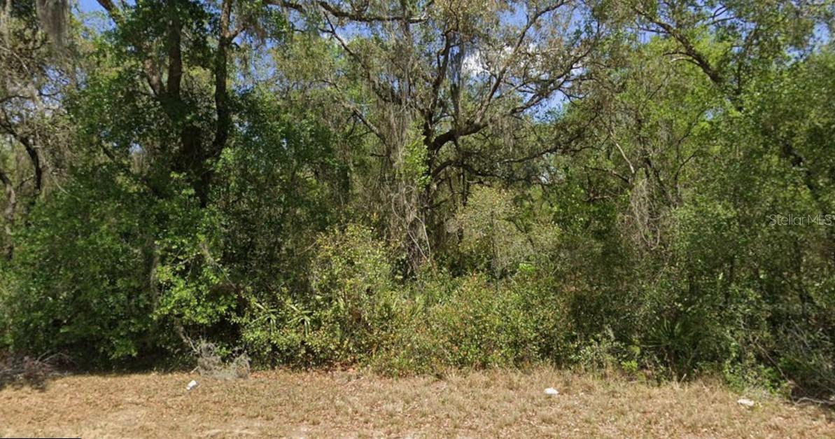 21175 Se 142nd Ln Property Photo 1
