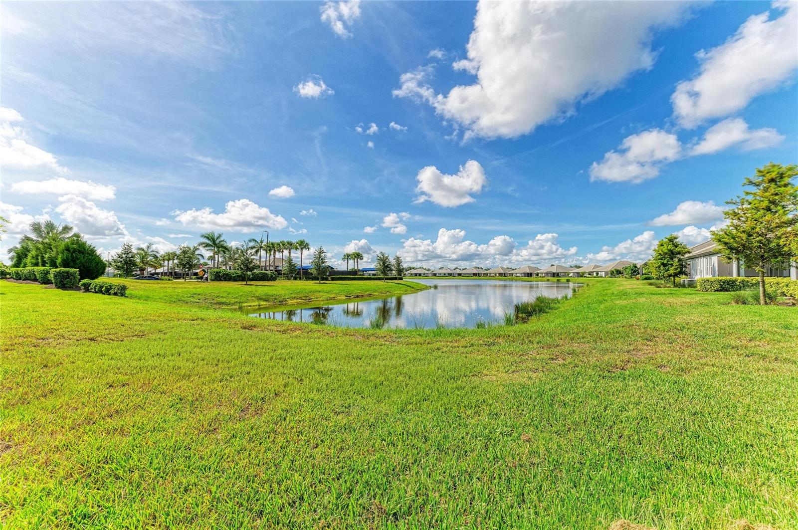 17831 Cherished Loop Property Photo 43