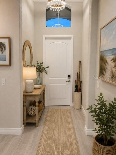 11825 Perennial Pl Property Photo 7