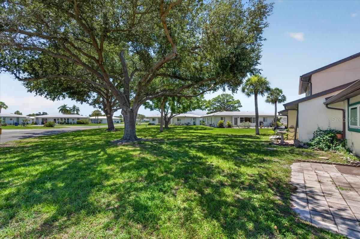 166 Circlewood Dr #101 Property Photo 26