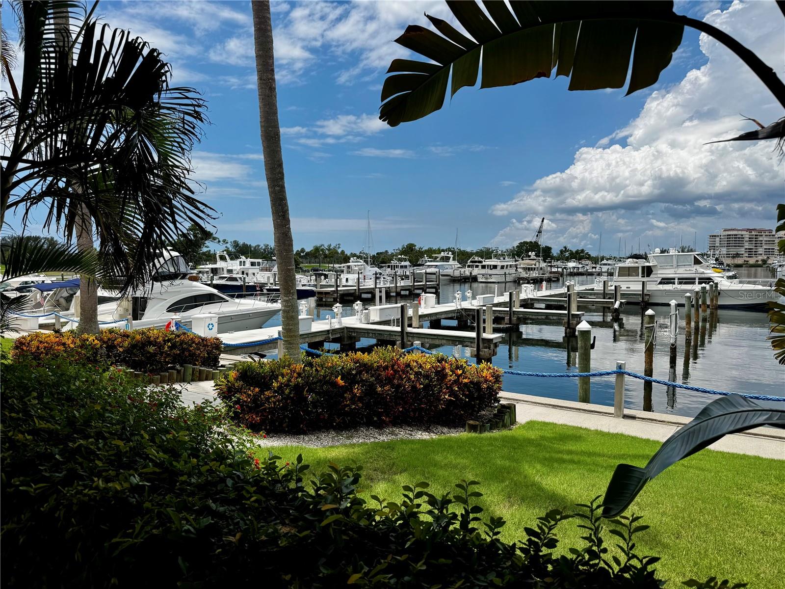 2600 Harbourside Dr #c11 Property Photo 2