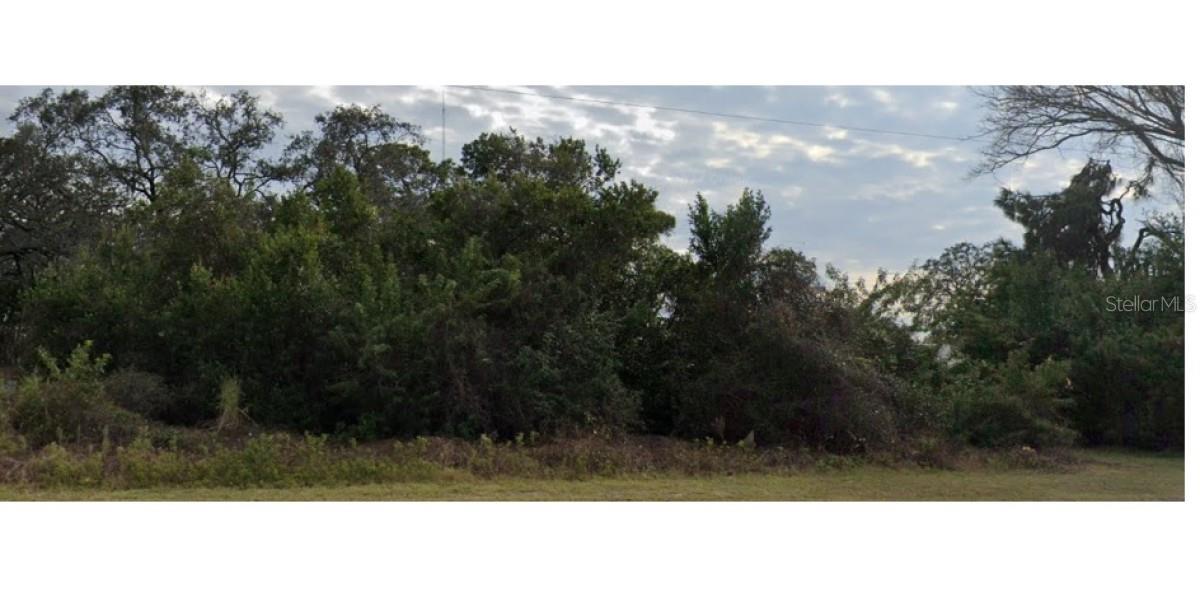 Lecanto St Property Photo 4