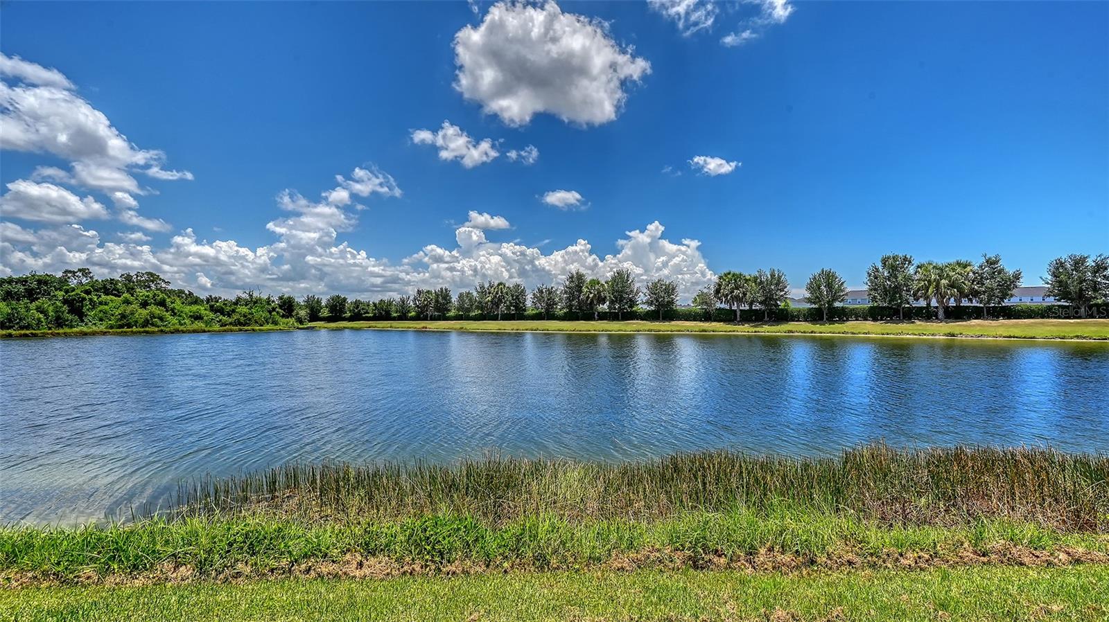 12318 Blue Hill Trl Property Photo 55