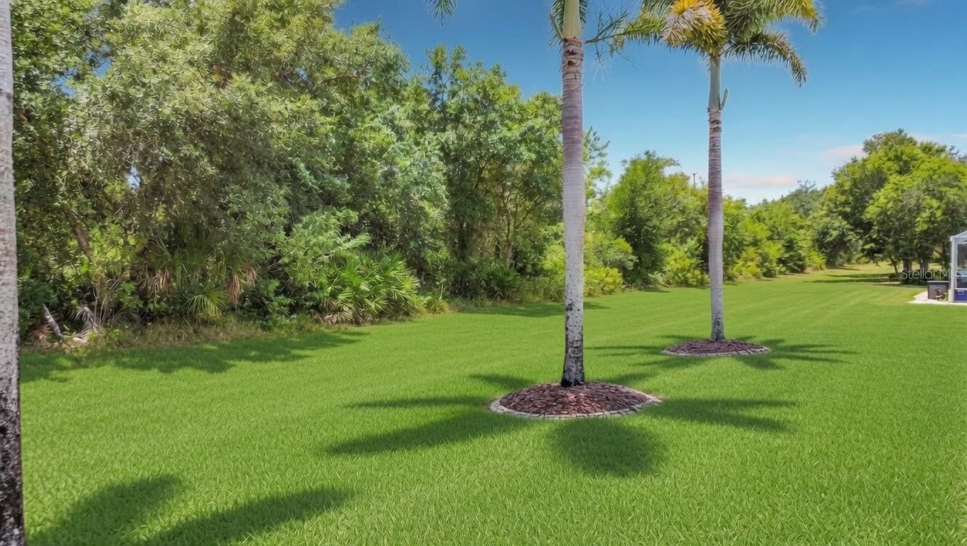 27423 Natal Dr Property Photo 52