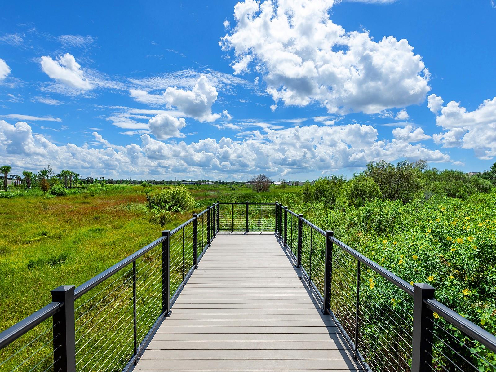 1095 Blue Shell Loop Property Photo 81