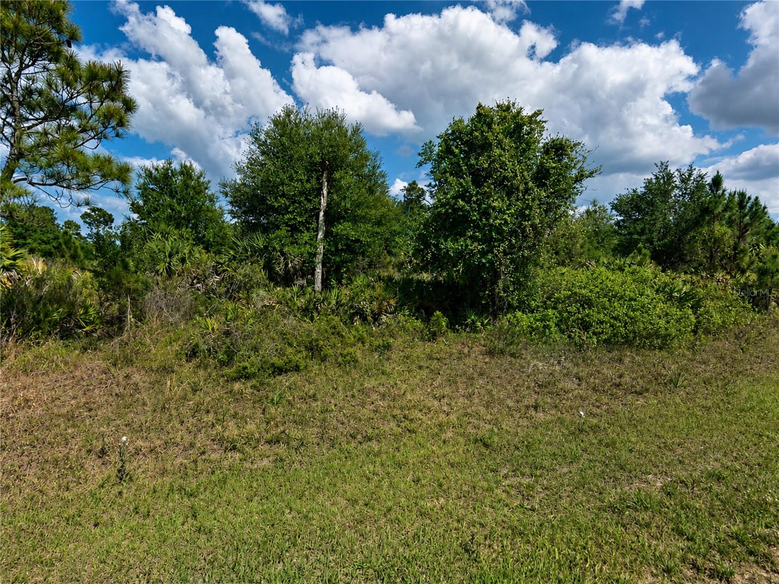 Lot 11 CHINABOX ST Property Photo 1