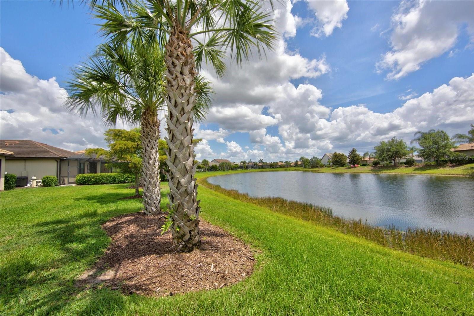 6774 Chester Trl Property Photo 60