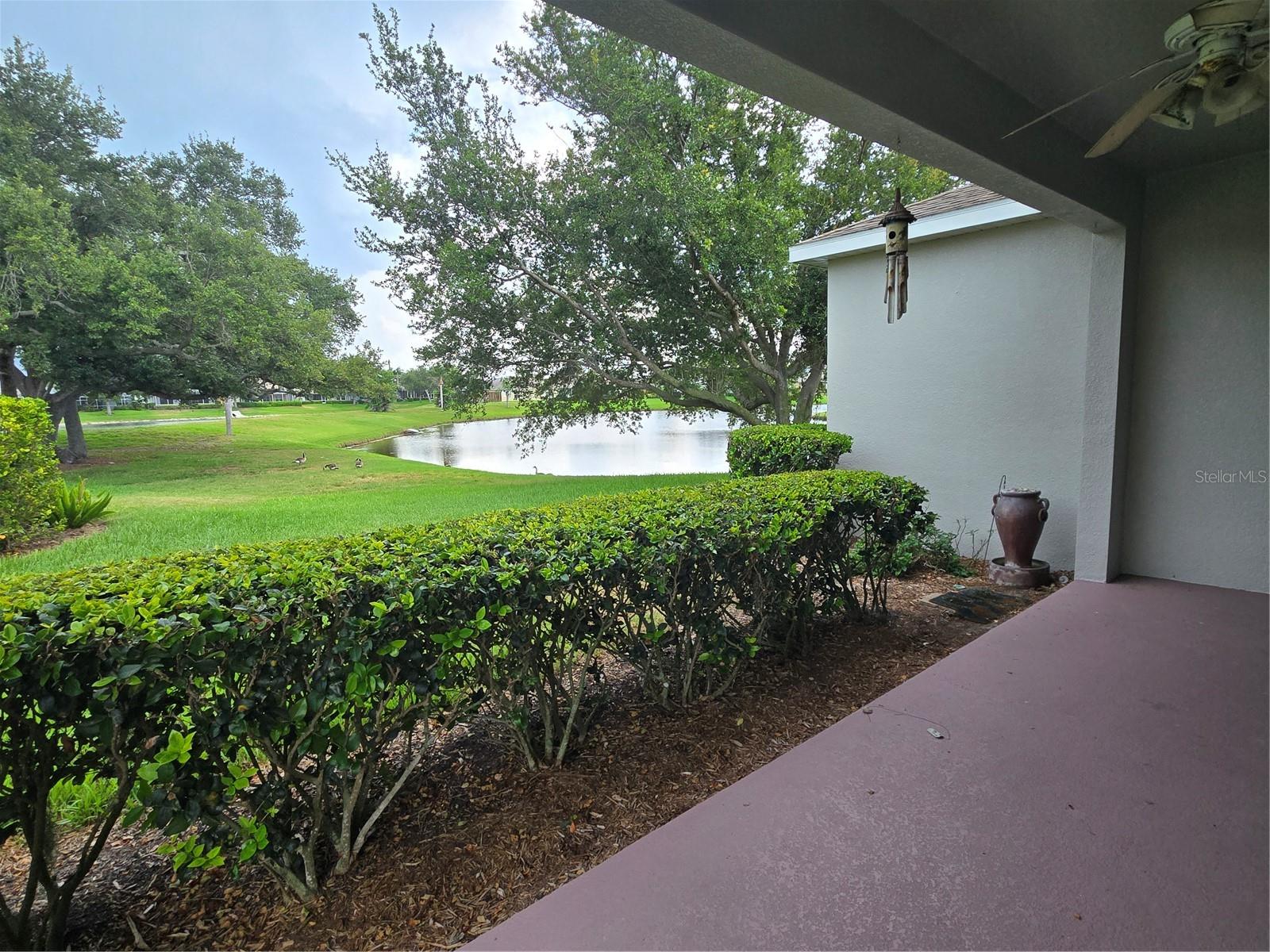 3637 Summerwind Cir Property Photo 4
