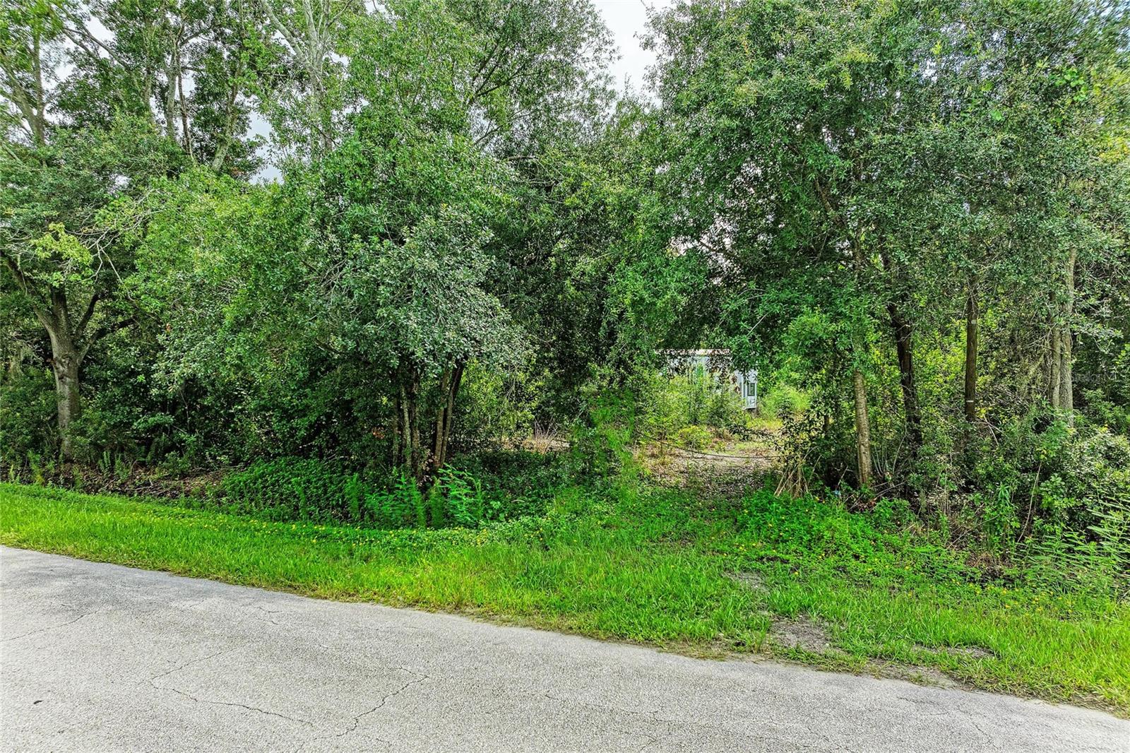10907 Estates Del Sol Dr Property Photo 4