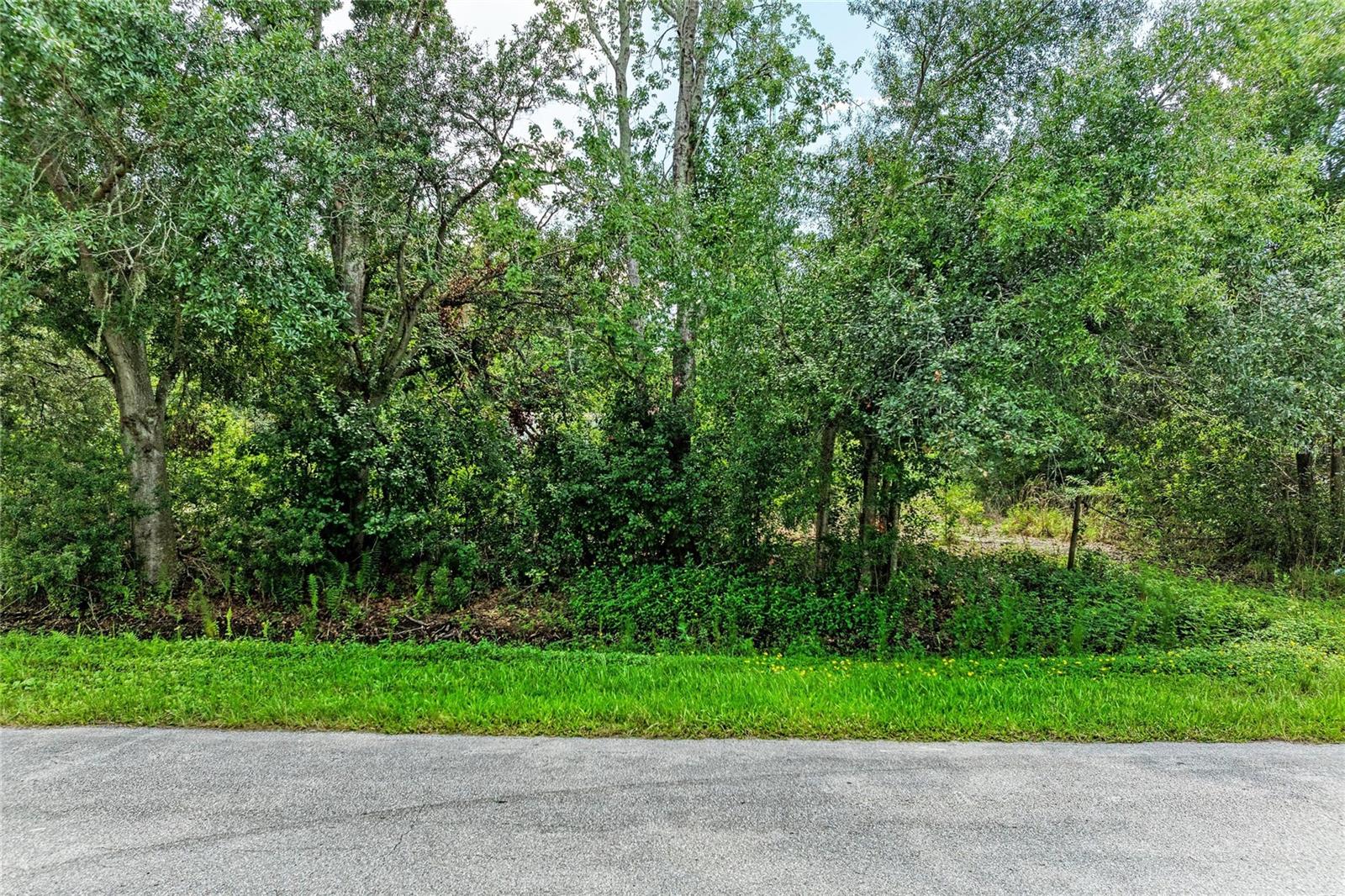 10907 Estates Del Sol Dr Property Photo 6