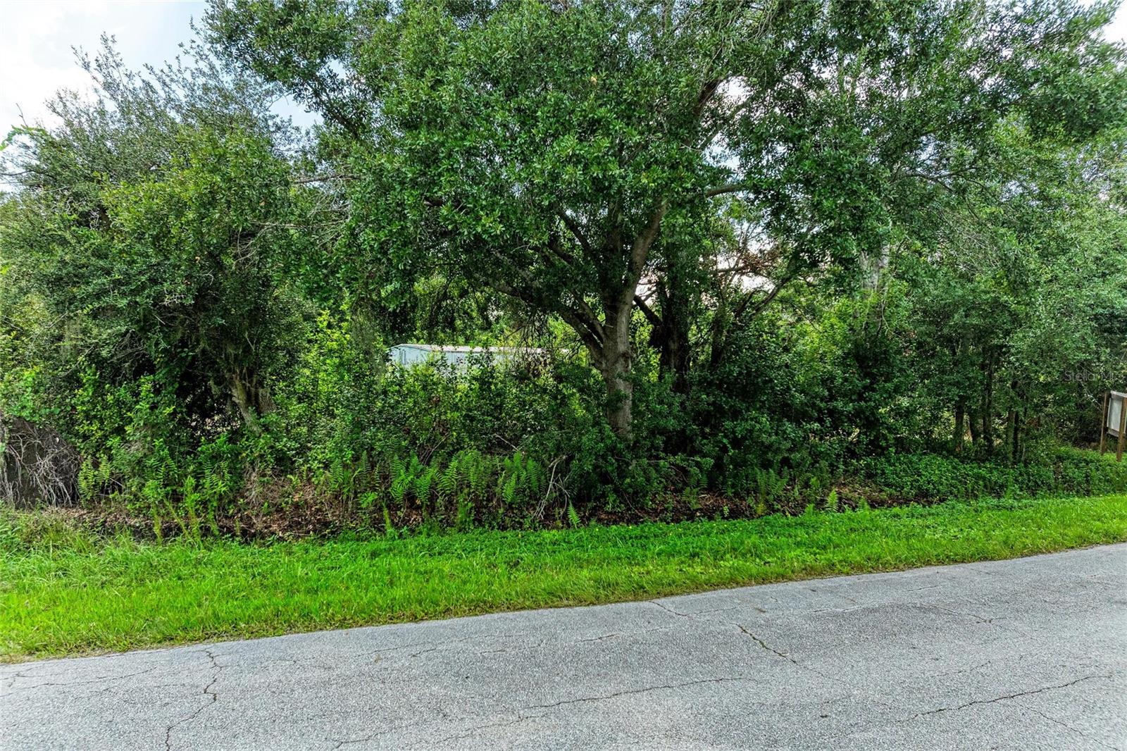 10907 Estates Del Sol Dr Property Photo 7