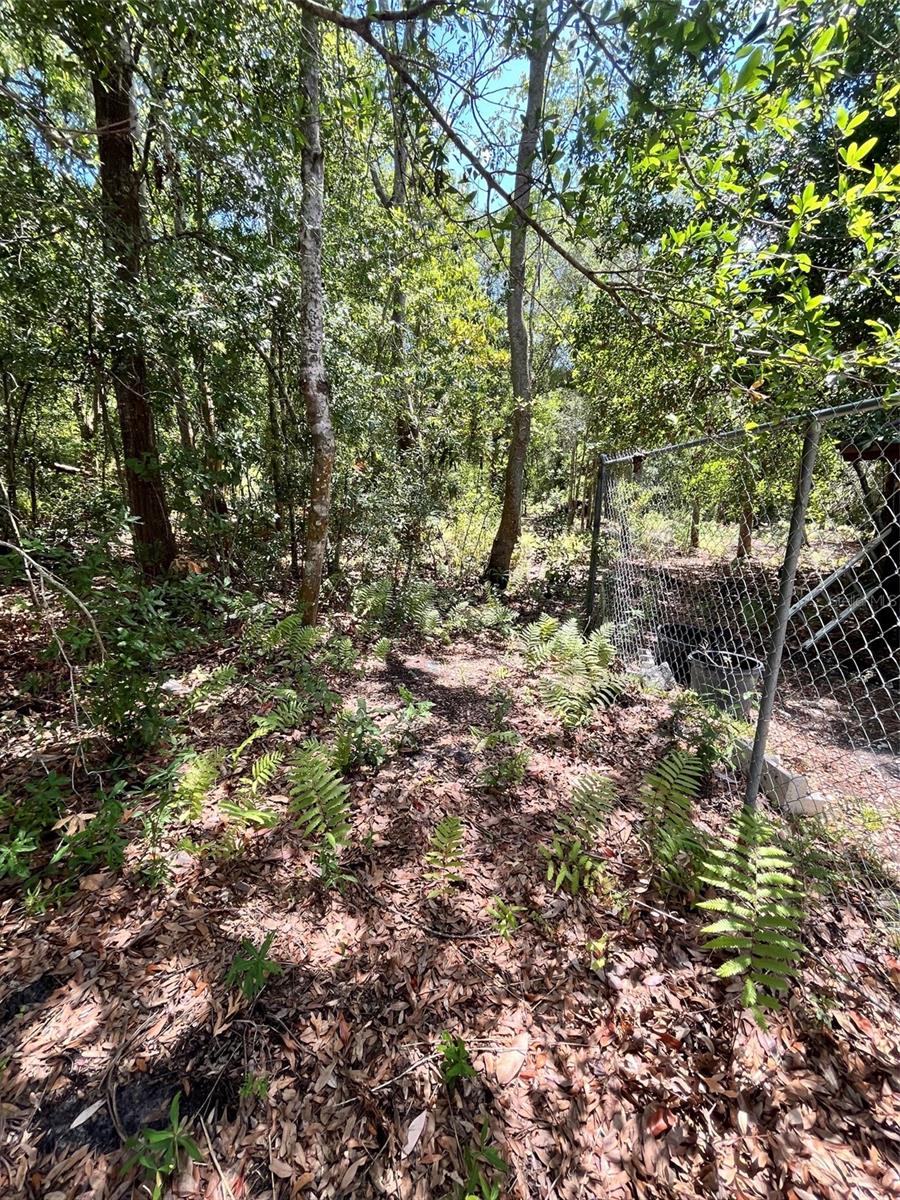 10907 Estates Del Sol Dr Property Photo 15
