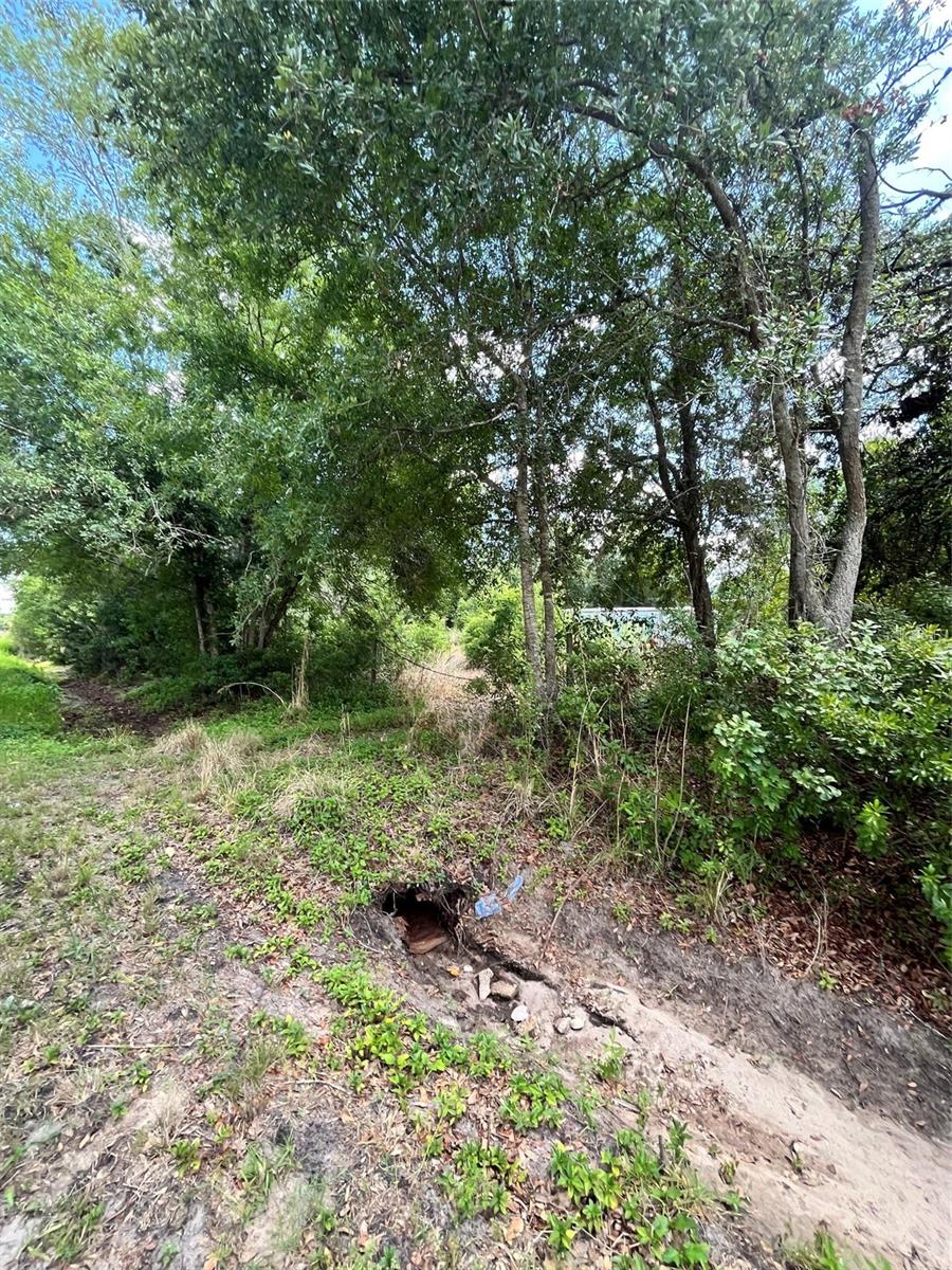 10907 Estates Del Sol Dr Property Photo 23