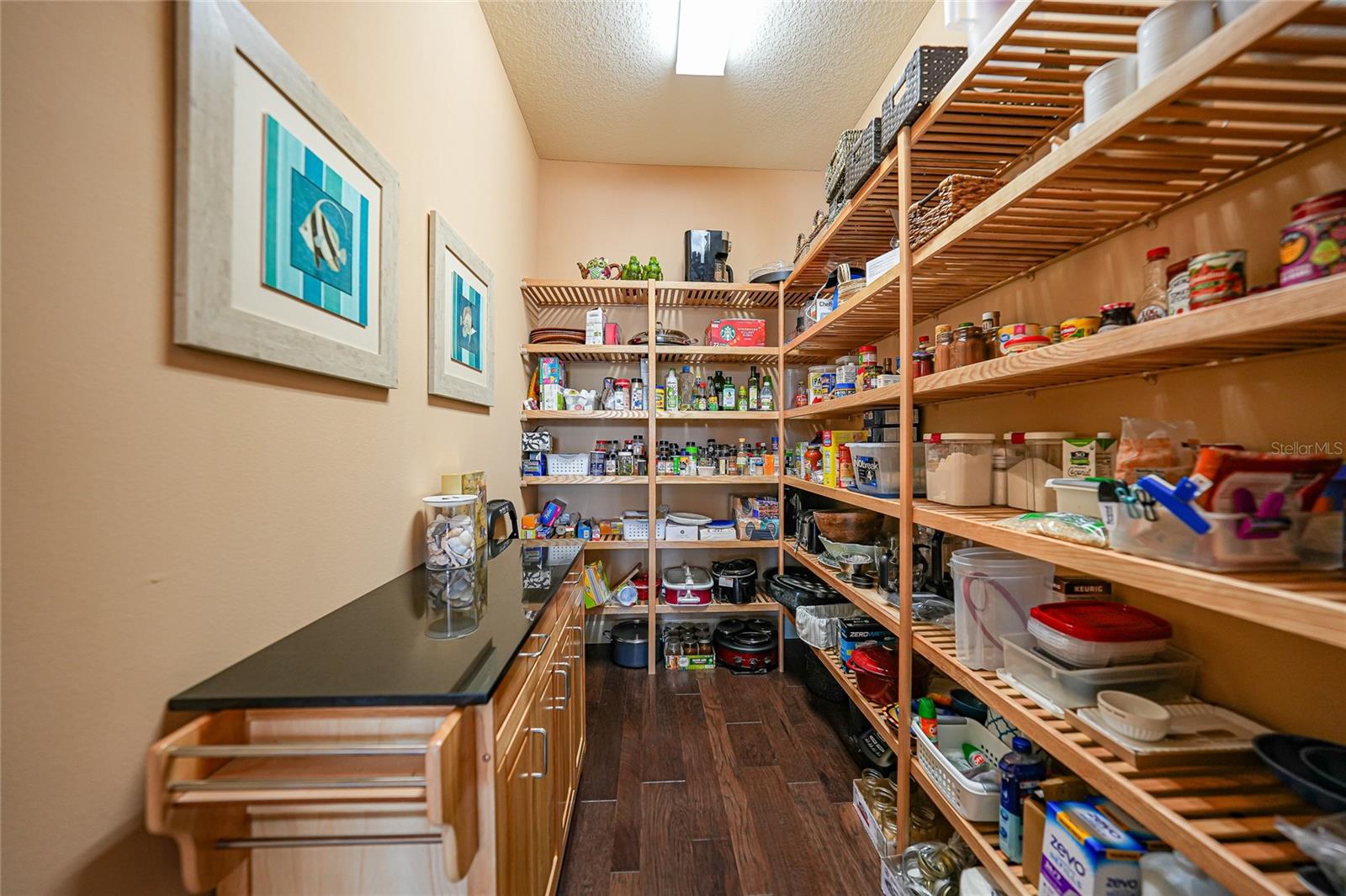 13220 Campanile Ct Property Photo 17