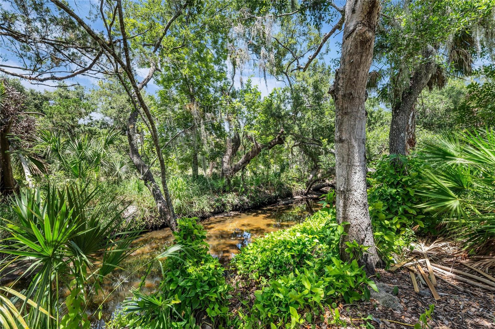 5911 River Forest Cir Property Photo 63