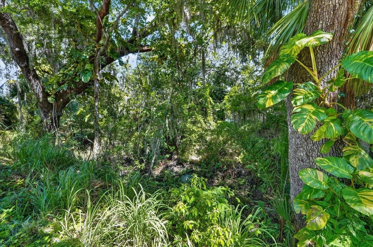 11740 Darsey Rd Property Photo 56