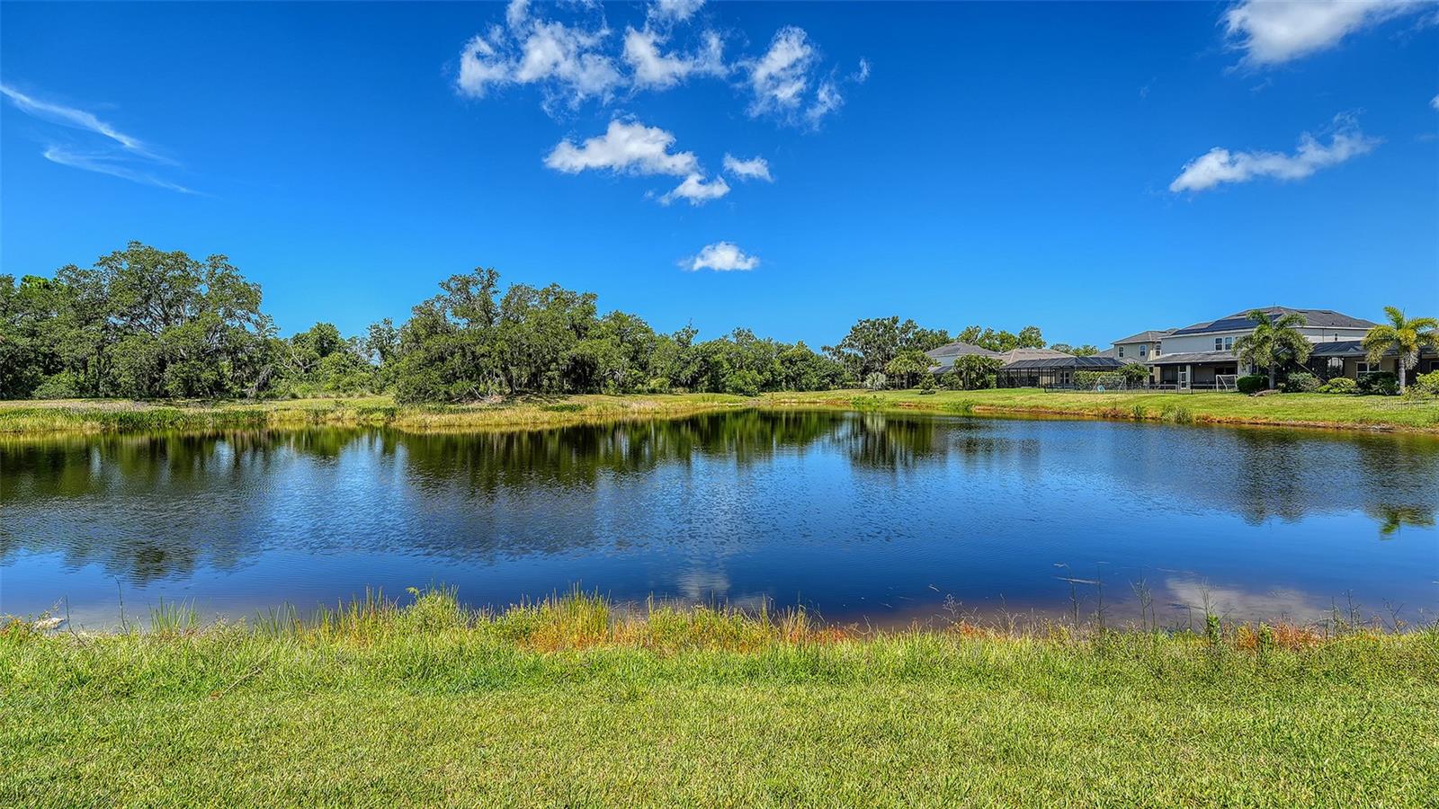 5873 Anise Dr Property Photo 45