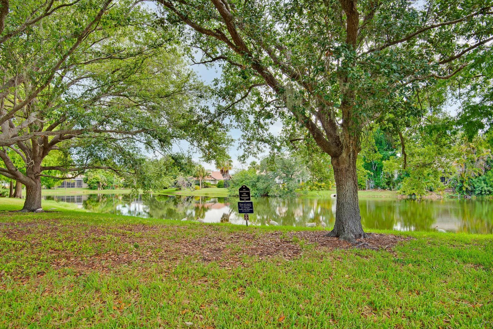 3731 Sarasota Square Blvd #205d Property Photo 50