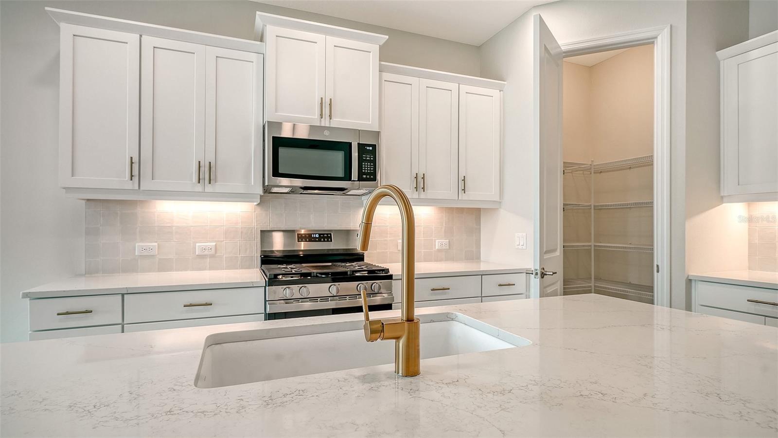 4408 Spoon Blade Dr Property Photo 14