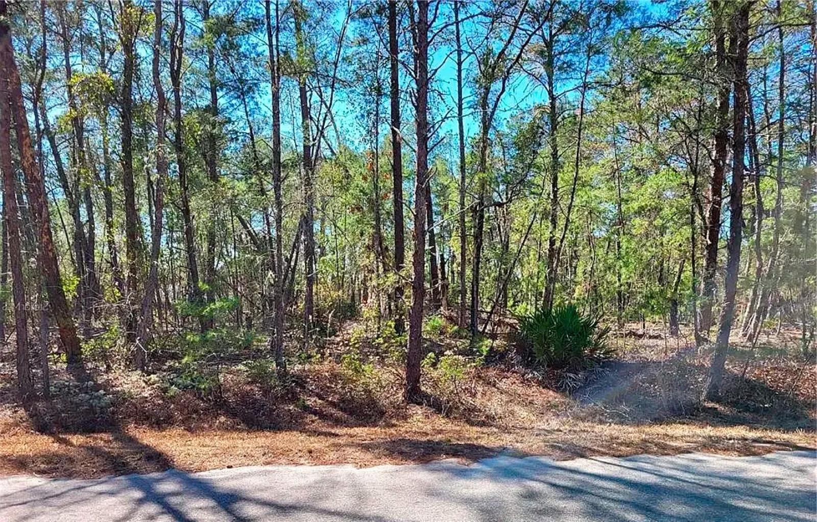 76 Fisher Run Ter Property Photo 1
