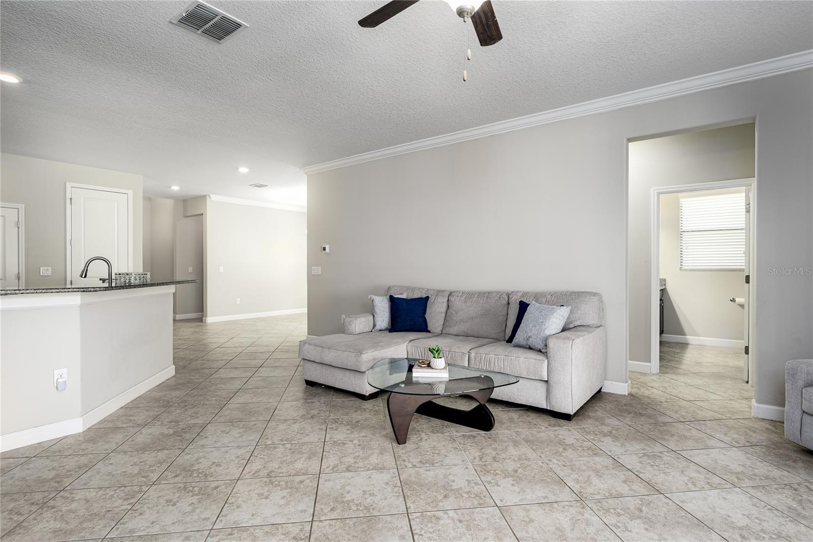 10009 Celtic Ash Dr Property Photo 6