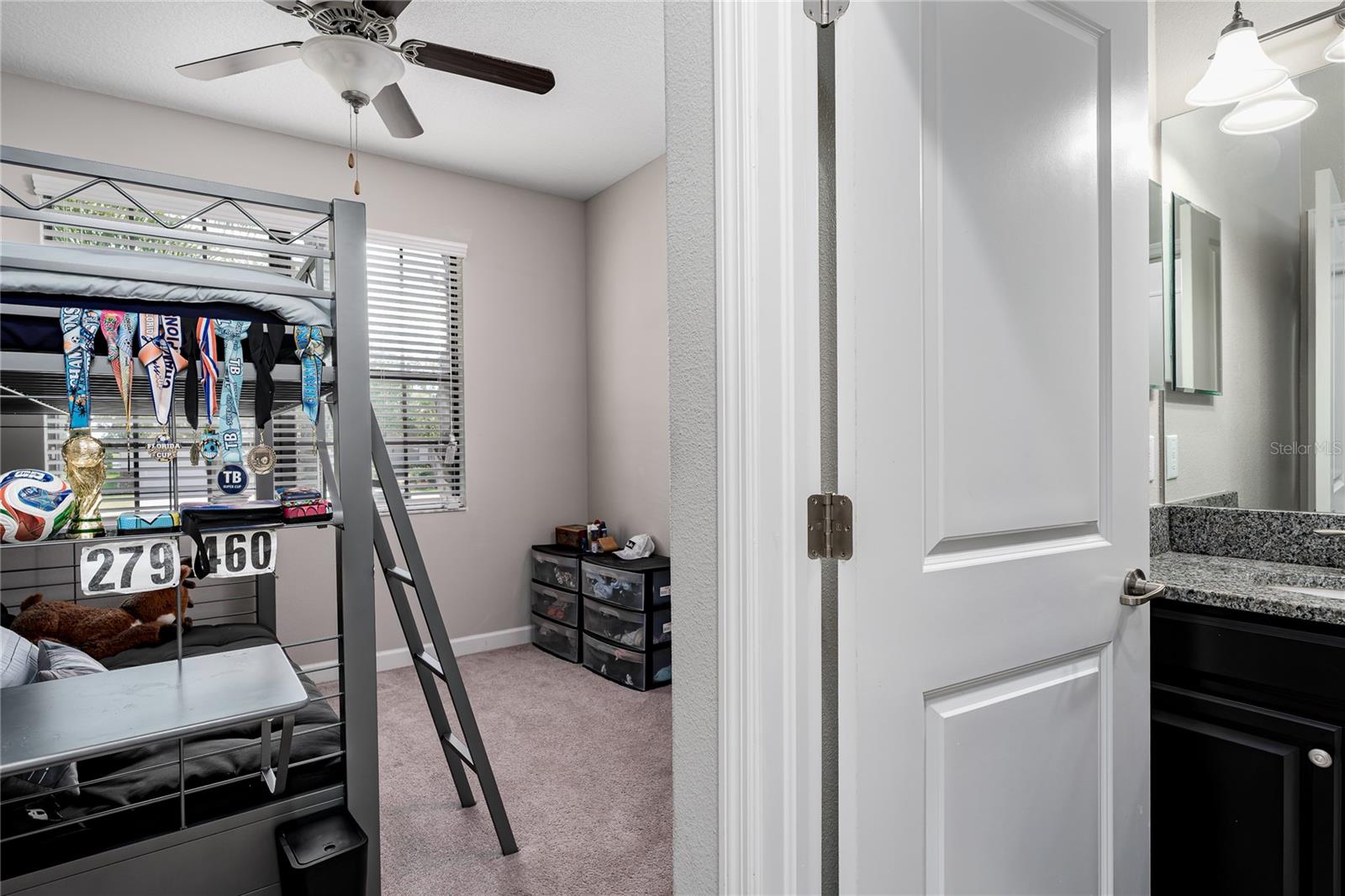 10009 Celtic Ash Dr Property Photo 28