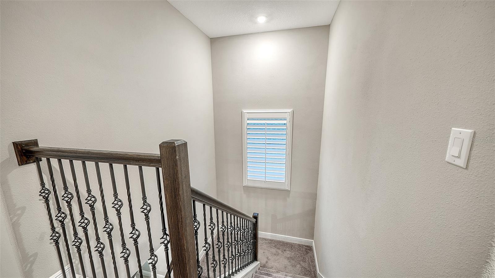 8234 Tea Olive Ter Property Photo 30