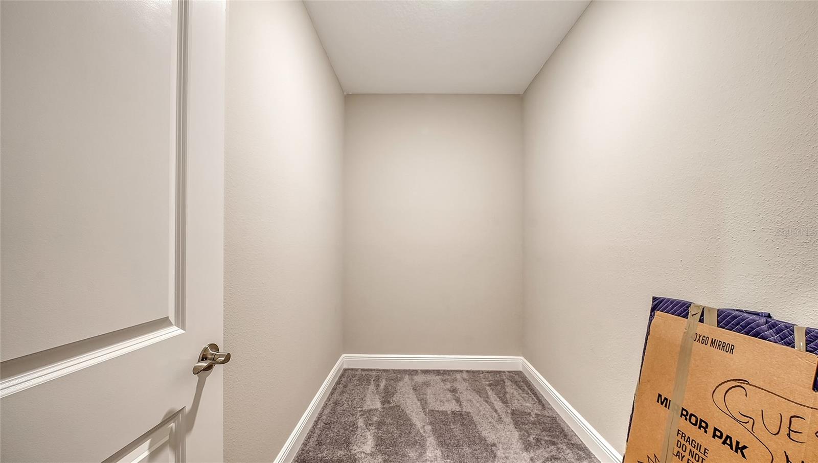 8234 Tea Olive Ter Property Photo 40
