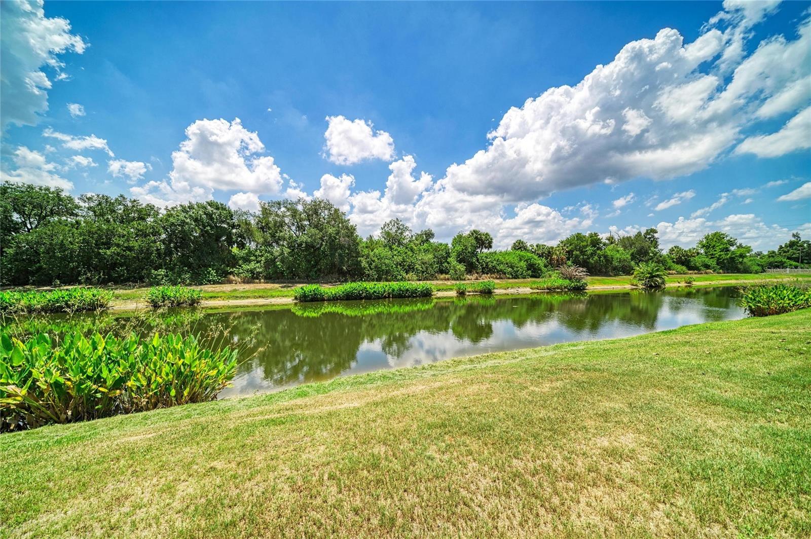 316 Star Shell Dr Property Photo 48