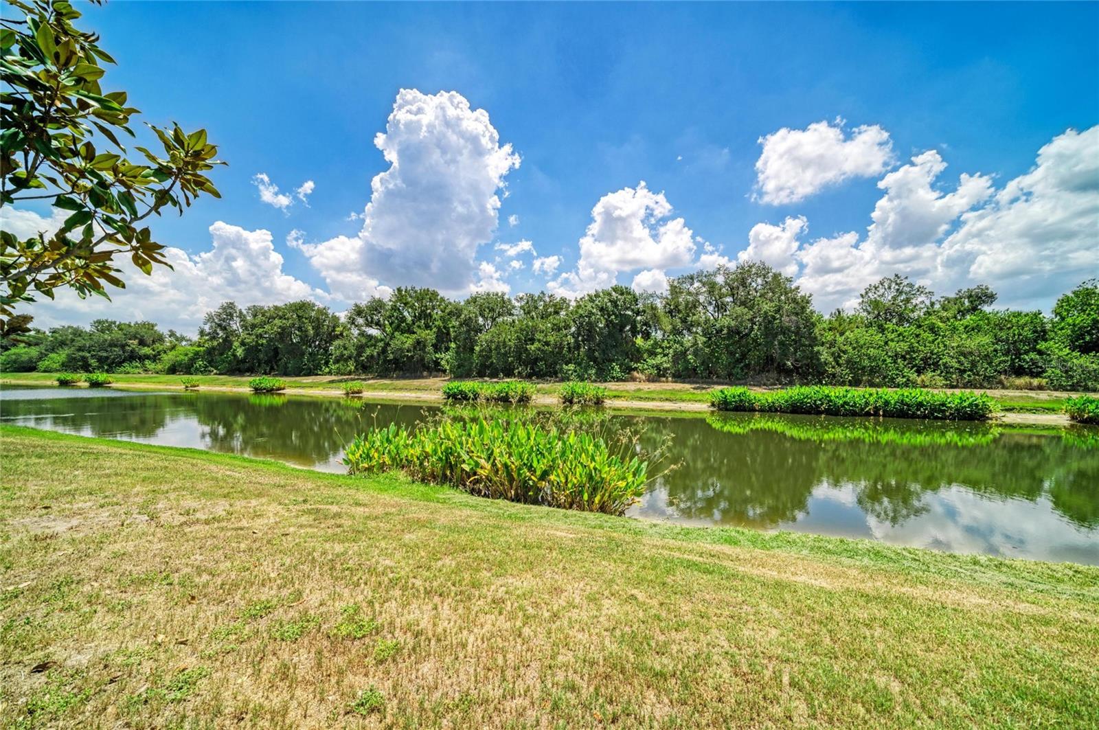 316 Star Shell Dr Property Photo 49