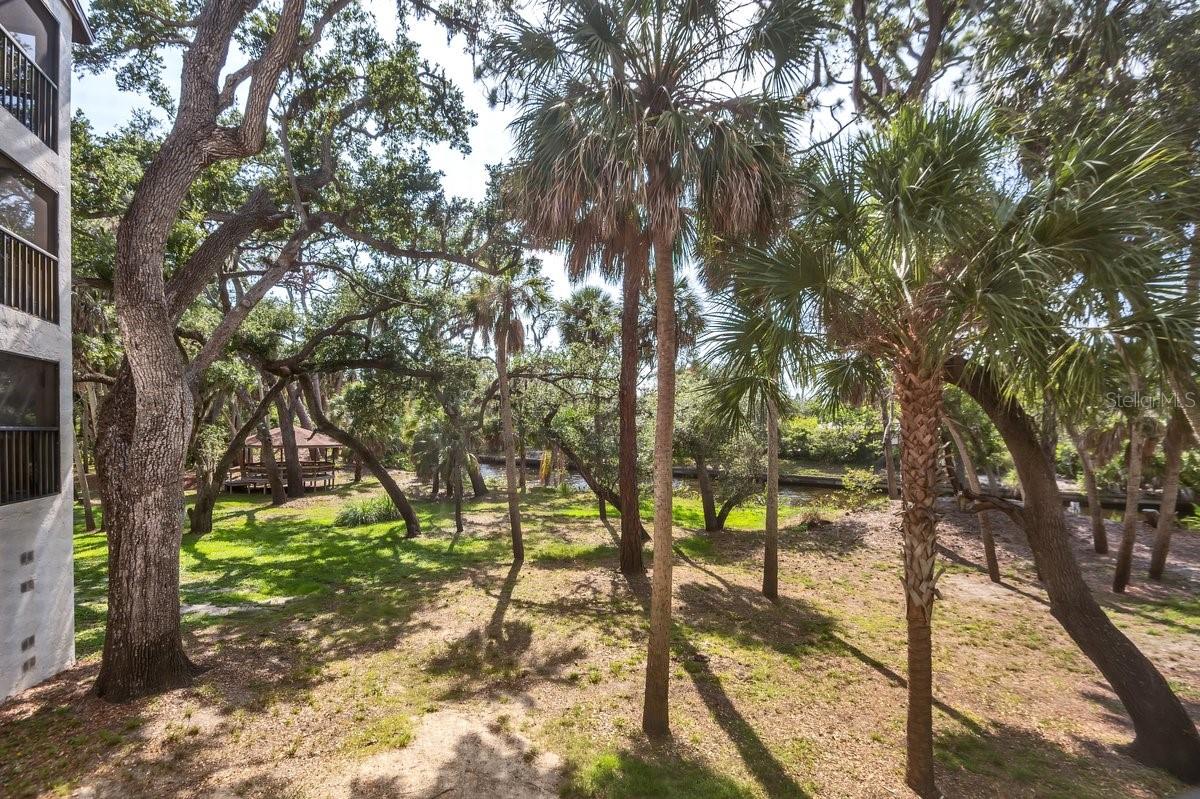 2753 Orchid Oaks Dr #104 Property Photo 26