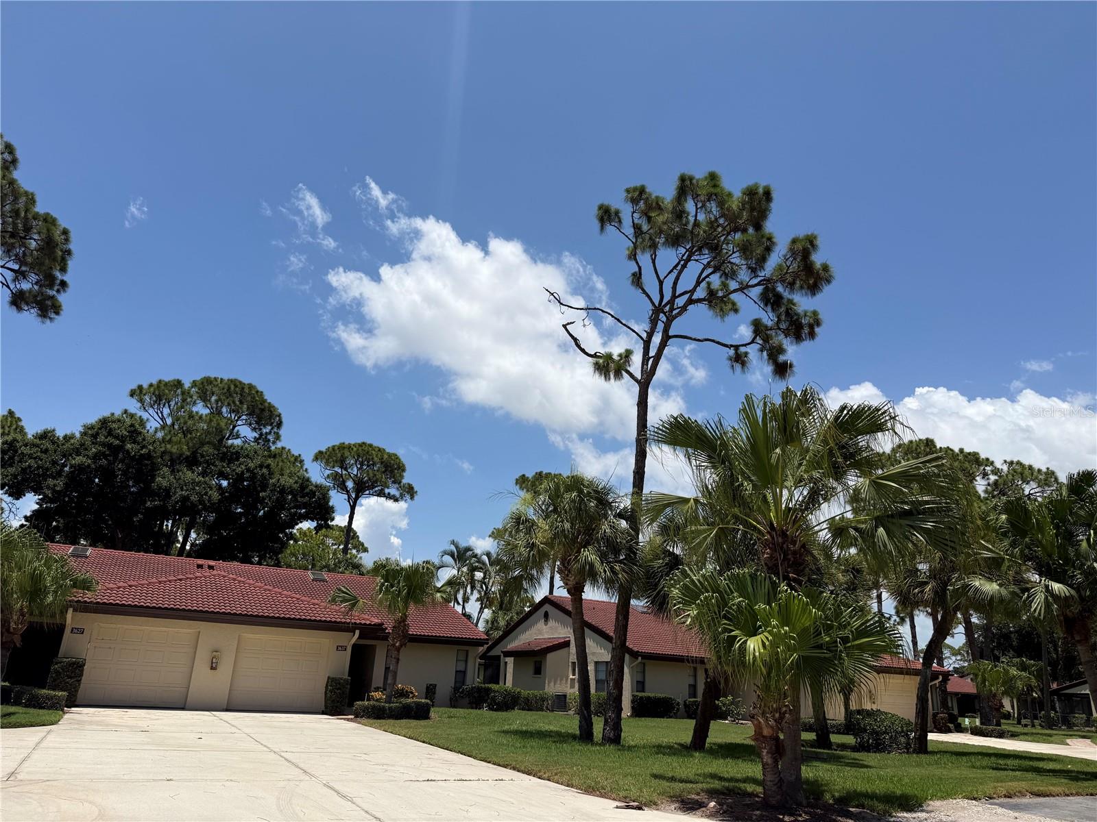 3637 YELLOW PINE CT #146 Property Photo 1
