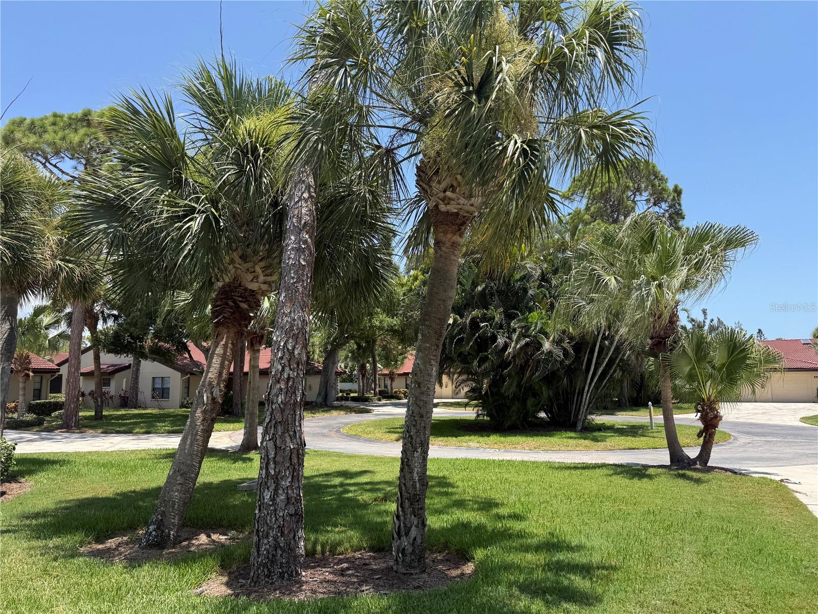 3637 Yellow Pine Ct #146 Property Photo 29