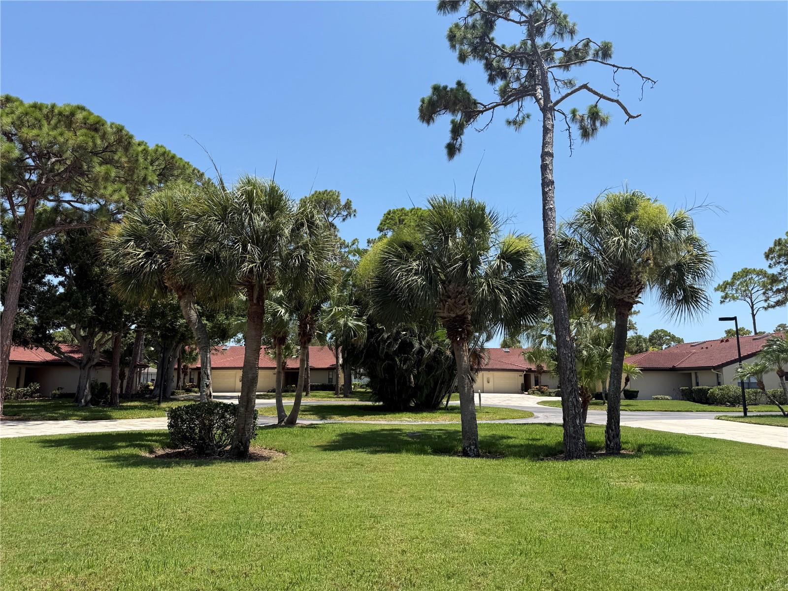 3637 Yellow Pine Ct #146 Property Photo 33