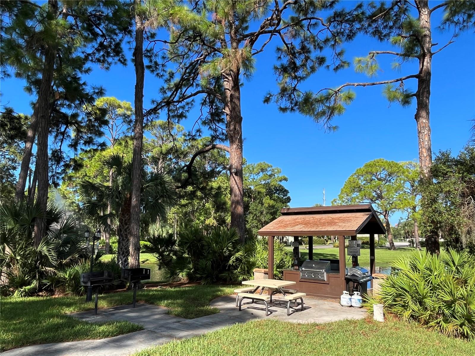 3637 Yellow Pine Ct #146 Property Photo 40