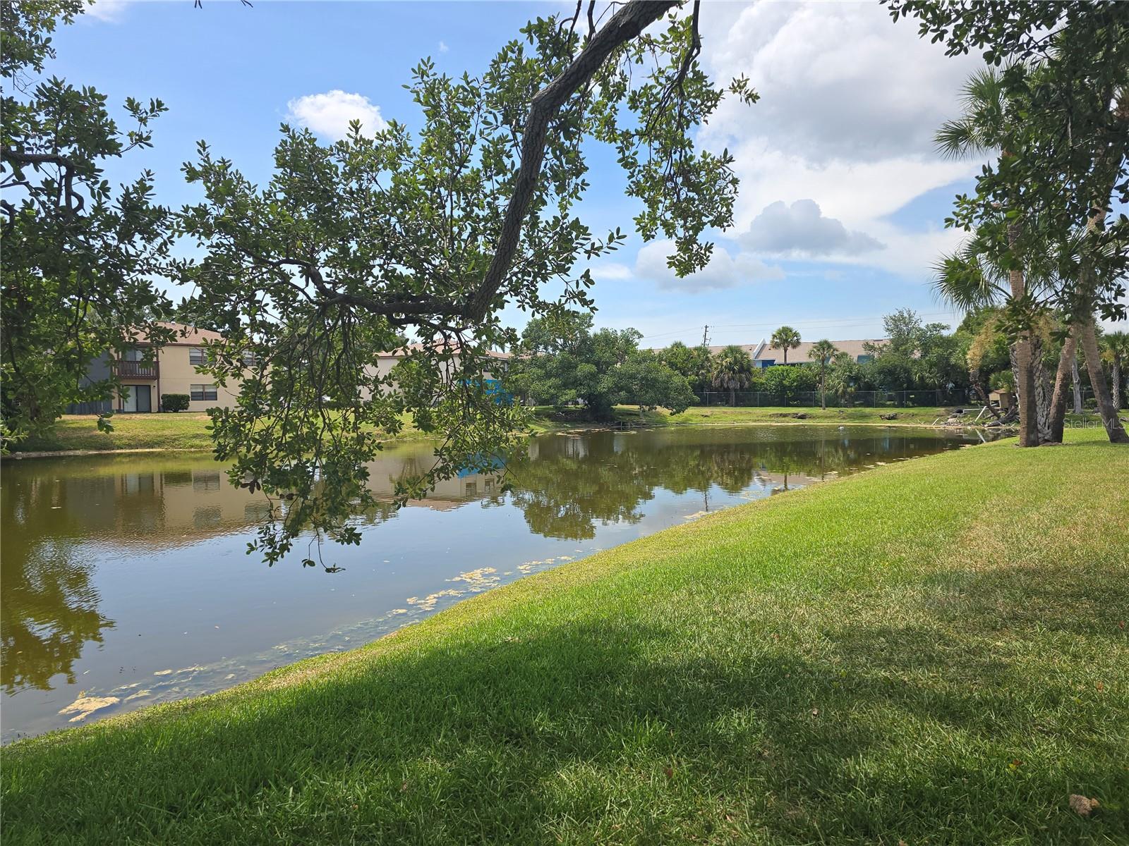5064 Live Oak Cir #5064 Property Photo 36